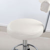 Salon Stool with Backrest Gas Lift Adjustable Swivel Barber Hairdresser Chair