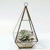 Tabletop Geometric Terrarium Glass Box Pot Plant Planter Succulent Moss Holder