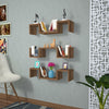 Paeonia Modern Wall Mounted Floating Shelf (Set of 3), Stylish Wood Wall Decor