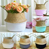 Wovens Seagrass Belly Basket Plant Flower Storage Straw Pot Home Garden Decors