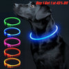 Light up LED All Size Dog Collar Adjustable USB Rechargeable Pet Safety Luminous