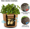 Home Garden Vegetable Planter Container 7 Gallon Potato Tomato Grow Plant Bag UK