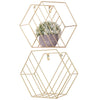 2x Hexagon Metal Wire Wall Shelf Home Decor Magazine Storage Floating Shelf Gold