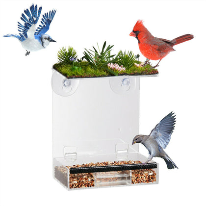 Large Clear Window Bird Feeder Hanging Station Dry Seed Tray Strong Suction Cups