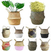 Wovens Seagrass Belly Basket Plant Flower Storage Straw Pot Home Garden Decors