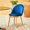 2pcs Twin Velvet Dining Chairs Paired Leisure Chairs for Home Office Garden