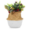 Seagrass Belly Basket Woven Plant Pot Holder Home Living Decor Folwer Storage