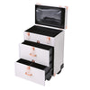 Rolling Makeup Trolley Travel Drawer Hairdressing Nail Box Beauty Salon Suitcase