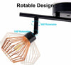 2-Way Ceiling Light Wall Spotlight Industrial Birdcage Retro Ceiling Flush Light