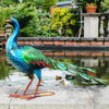 Large Peacock Bird Bath Table Feeder Solar Light Garden Ornament Outdoor Decor