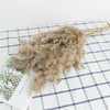 10Pcs Reed Natural Dried Bouquets Pampas Grass Flower Bunch Wedding Home Decors