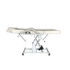 Electric Beauty Bed 3 Section Massage Table Recline Tattoo Spa Massage Bed NEW