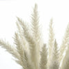 15/50PCS Artificial Dried Pampas Grass Reed Rabbit Tail Grass Flower Bunch Decor