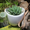 Set of 3 Modern Ceramic Wall Hanging Plant Pot Planter Indoor Outdoor Home Decor