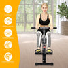 Foldable Rowing Machine Rower Hydraulic Resistance Cardio Fitness Gym Workout #