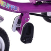 4 in1 Baby Kids Trike Tricycle 3-Wheel Pedal Bike Girls Boys Push Along Stroller