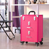 Professional Makeup Nail Trolley Vanity Cosmetics Tool Box Storage Organizer