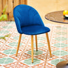 2pcs Twin Velvet Dining Chairs Paired Leisure Chairs for Home Office Garden