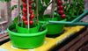 GARDEN PLANT TOMATOES TOMATO PLANTER BEAN GROW BAG WATERING POT TUB