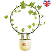 Iron Garden Plant Support Stake Stand Heart-shaped Round Vine Climbing Rack