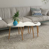 Nest of Tables Nested Tables Coffee Table Side End Table Nesting Living Room BN