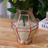 Tabletop Geometric Terrarium Glass Box Pot Plant Planter Succulent Moss Holder