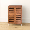 2 Door Shoe Storage Cabinet Footwear Stand Rack Unit Cupboard Sideboard Dark Oak