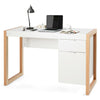 Home Office Computer Desk Study PC Writing Table Workstation Shelf W/ Cabinet