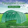 6Mx3Mx2M Walk-in Polytunnel PE Cover Plant Grow Garden Outdoor Waterproof House