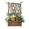 Indoor Outdoor Wooden Raised Bed Tall Planter Box with Generous Hanging Trellis