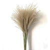 100/50 Pcs Wedding Dried Reed Bundle Pampas Grass Bouquet Flower Party Decor.