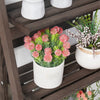 Burntwood Flower Plant Stand Garden Ladder Shelf Display Shelving Rack Portable