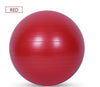 65cm Fitness Exercise Ball Yoga Gym Swiss Pregnancy Birthing Anti-Burst WithPump