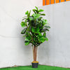 152cm Artificial Plant Potted Fiddle Fig Tree Indoor Outdoor Realistic Decor