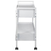 Trolley Cart Dental Lab Trolley Steel Mobile Rolling Serving Cart 2 Tiers