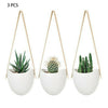 3X Flower Plant Pot Indoor Outdoor Garden Wall Fence Hanging Planter Box Basket