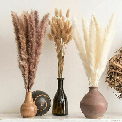 15/50PCS Natural Dried Pampas Grass Reed Rabbit Tail Grass Flower Bunch Decor UK