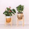 Large Wood Plant Flower Pot Rack Display Stand Planter Bonsai Frame Holder