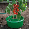 GARDEN PLANT TOMATOES TOMATO PLANTER BEAN GROW BAG WATERING POT TUB