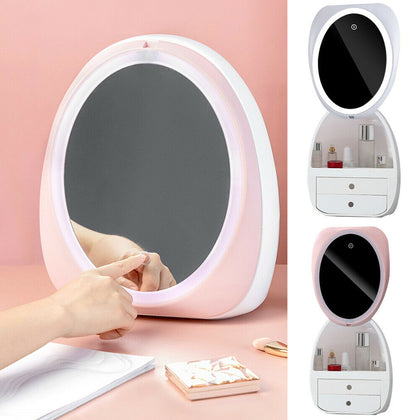 Portable Cosmetic Makeup Storage Box Case With LED Light Mirror Travel Organizer