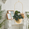 Wall Hanging Planter Flower Pot Metal Basket Bowl Decor Garden Indoor Black/Gold