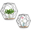 2x Hexagon Metal Wire Wall Shelf Home Decor Storage Floating Shelf w/ Wood Board