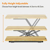 Standing Desk Converter Height Adjustable Sit Stand Office Workstation