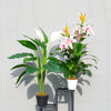3ft Realistic Flower Tree Potted Plant Artificial Lily/Spathiphyllum Home Decor