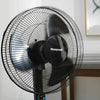 Honeywell HSF600B QuietSet 16" Stand Fan With Noise Reduction Technology Black