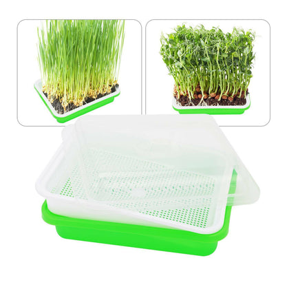 Seed Sprouter Tray Plant Grow Propagator Seddling Starter Trays Basket