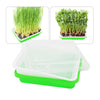 Seed Sprouter Tray Plant Grow Propagator Seddling Starter Trays Basket