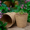 60Pcs Nursery Cup Plant Pot 8cm Round Pulp Peat Biodegradable Fibre Herb Pots