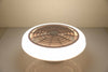 Modern LED Ceiling Fan Light Lighting Adjustable Wind Speed Dimmable W/ Remote
