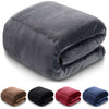 Plain Blanket Cuddle Cozy Winter Warm Fleece Travel Throw Single Double King